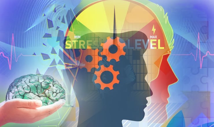 মানসিক স্বাস্থ্য ভালো রাখতে কী করবেন